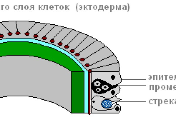 Ссылка на омг омг fb